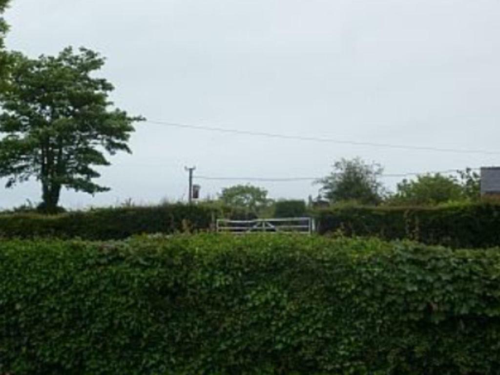 The Old Shop Vila Llandyfrydog Exterior foto